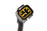 MSD Power Grid Harness - Pro 600 - 80003