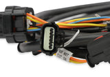 Holley 558-461 EFI Ford GT500 and 3V Drive-by-Wire Throttle Body Harness