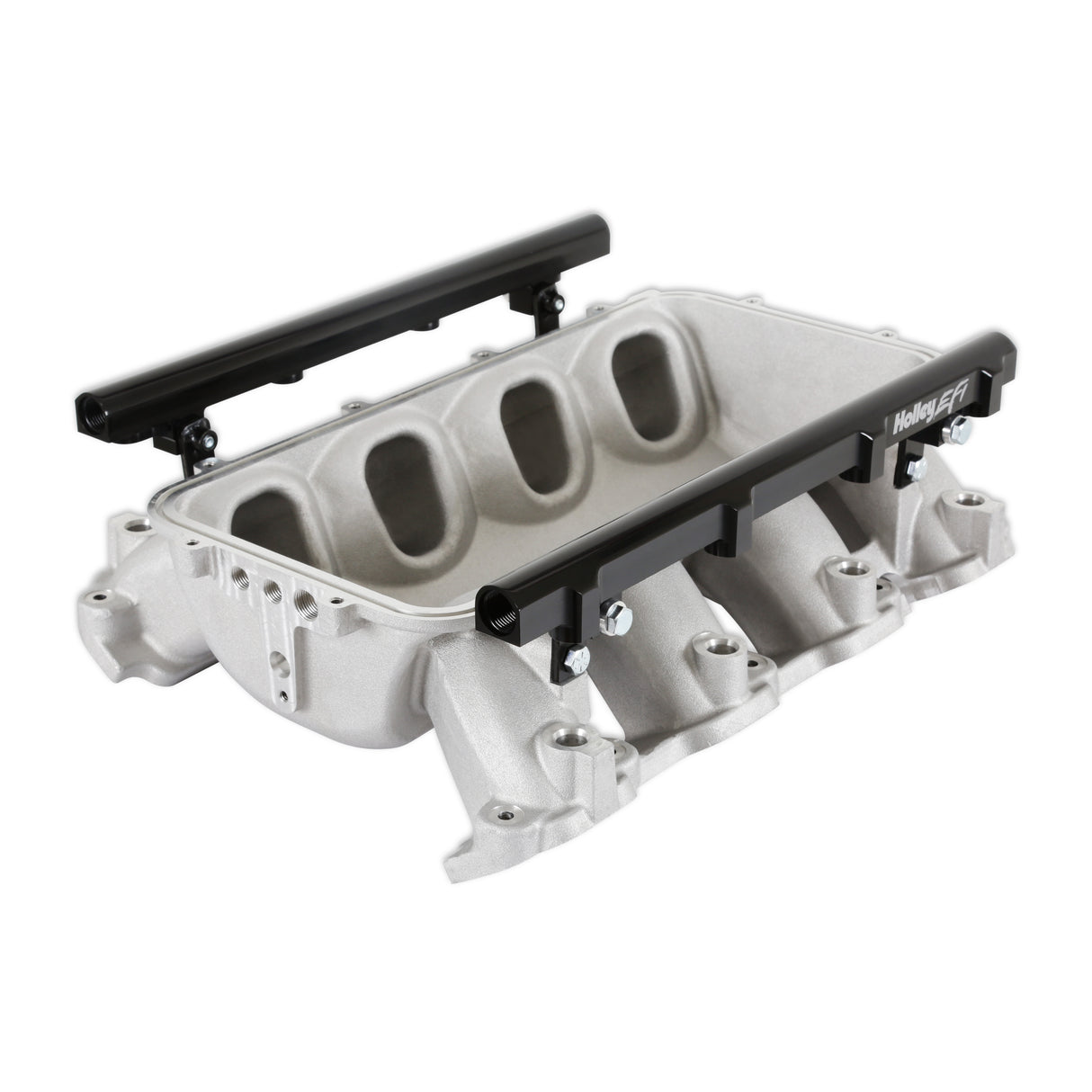 Holley 300-711 Lo-Ram Manifold Base and Port Injection Fuel Rails - GM Gen V LT