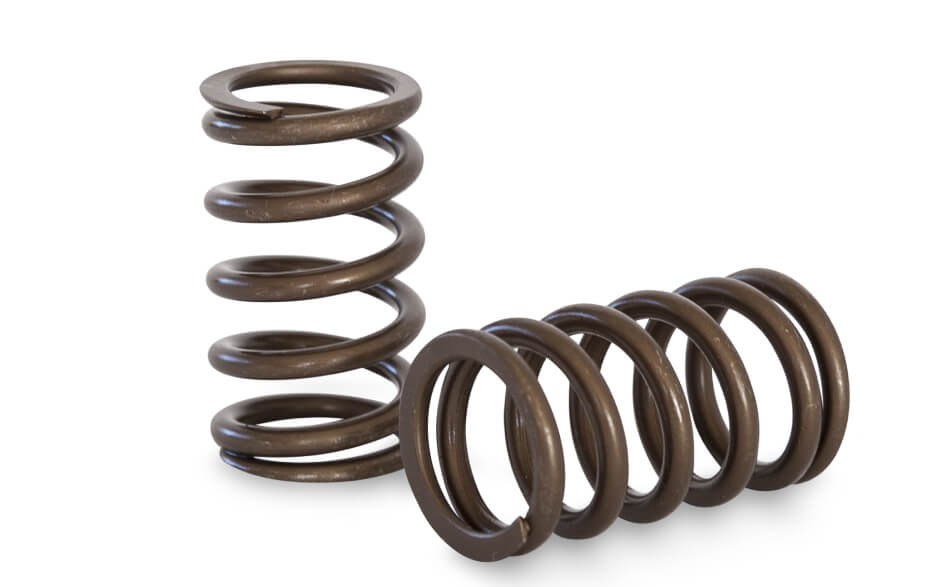 Kelford Cams RB20 | RB25 Racing Springs