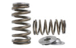 Kelford Cams VK56 Beehive Spring Set - KVS56-BT