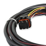 Holley 558-406 EFI GM Drive-By-Wire Harness