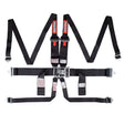 Racequip Latch & Link HANS 6 Point Harness Set - 718008RQP