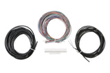 Holley 558-456 EFI Pro Dash Input/Output Harness
