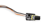 Holley 558-454 CAN Adapter Harness, 12'