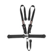 Simpson Latch FX2 Belt - 29073BKHX