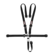 Simpson Latch FX2 Belt - 29083BKX