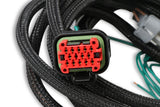 MSD EFI And LS Harness - Pro 600 - 80002