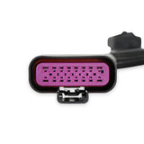 Holley 558-191 Sniper 2 EFI Main Harness