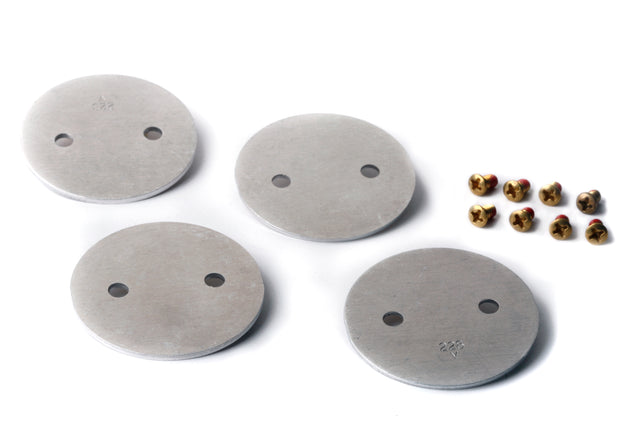 Holley 26-100 Carburetor Throttle Plate Kit