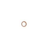 Racepak Copper Seal 5/8in - 800-FM-CS-10