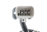 MSD EFI And LS Harness - Pro 600 - 80002