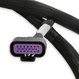 Holley 558-220 EFI GM GEN V GDI Sub Harness