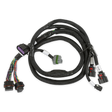 Holley 558-221 EFI GM GEN V GDI Sub Harness