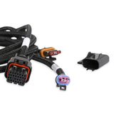 Holley 558-482 EFI Transmission Harness - TKO