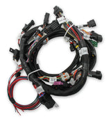 Holley 558-110 EFI Ford Coyote Engine Main Harness w/ Ti-VCT and Stock Coils (2011-2017)