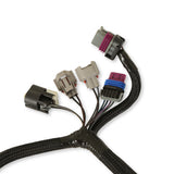 Holley 558-439 Terminator Throttle Body Harness