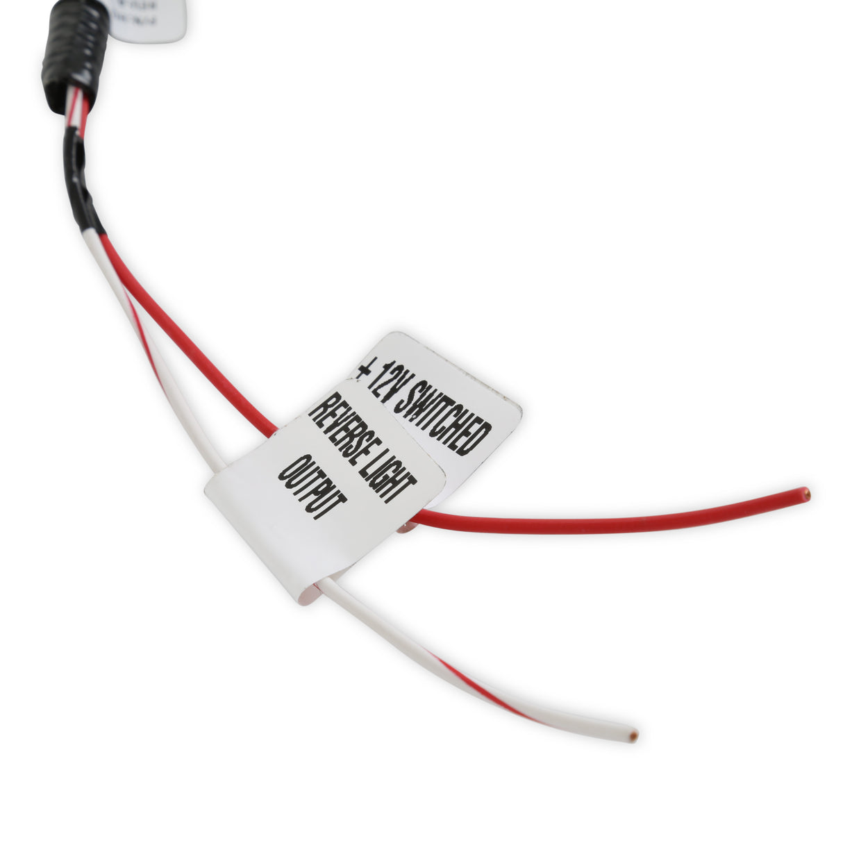 Holley 558-481 EFI Transmission Harness - T-56