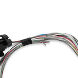 Holley 558-462 Terminator X Input/Output Harness