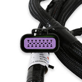 Holley 558-221 EFI GM GEN V GDI Sub Harness