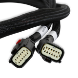Holley 558-220 EFI GM GEN V GDI Sub Harness