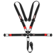 Simpson CAMFX 5PT 2x2" Harness - 1CFXD52KB
