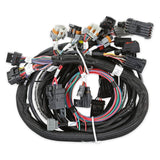 Holley 558-115 Gen III Hemi Main Harness Early w/ TPS and Idle Air Control Connections