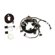 Holley 558-503 GM TPI and Stealth Ram EFI Harness Kit