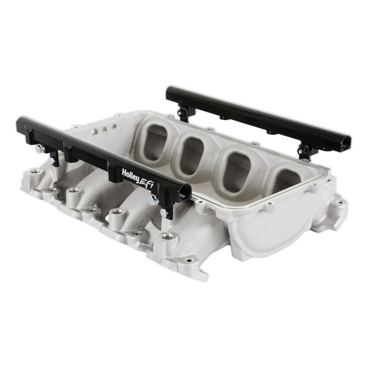 Holley 300-711 Lo-Ram Manifold Base and Port Injection Fuel Rails - GM Gen V LT