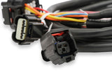 Holley 558-461 EFI Ford GT500 and 3V Drive-by-Wire Throttle Body Harness