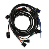 MSD Universal Launch Master, Coil-on-Plug 4-Cylinder Engines - 4350
