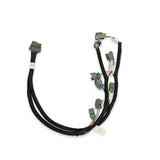Holley 558-510 Ford Coyote Ti-VCT Harness Kit