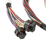 Holley 550-605N HP EFI ECU & Harness Kits