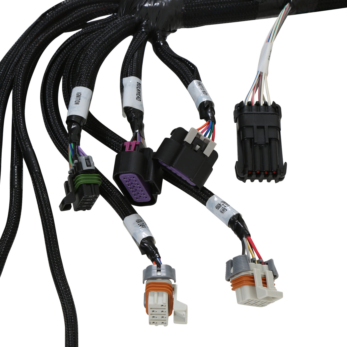 Holley EFI Universal Coil-On-Plug 8-Injector TBI Harness - 558-139