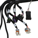 Holley EFI Universal Coil-On-Plug 8-Injector TBI Harness - 558-139