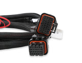 Holley 558-219 Injector Driver Harness