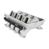 Holley 300-921 ULTRA LO-RAM BASE, FORD COYOTE FRONT FEED