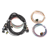 Holley 558-457 EFI Pro Dash Standalone Service Harness