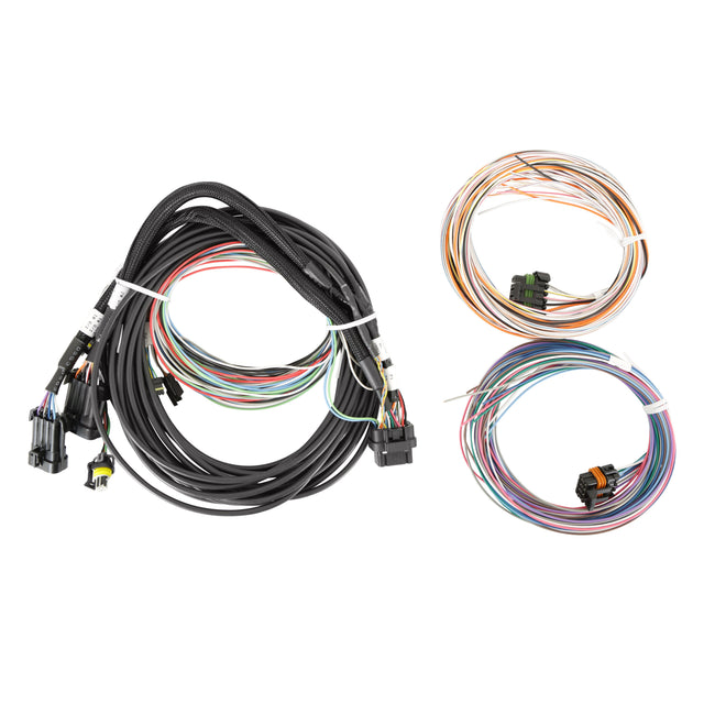 Holley 558-457 EFI Pro Dash Standalone Service Harness