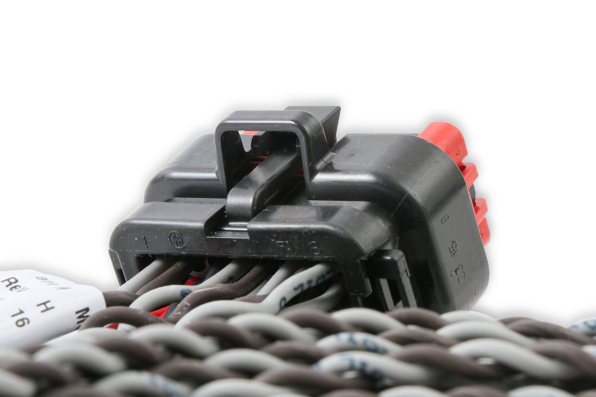 MSD Coil Harness - Pro 600 - 80001