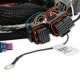 Holley 558-129 EFI Gen V LT Engine Main Harness