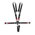 Simpson CAMFX 5PT 2x2" Harness - 1CFXD52KC