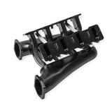 Holley 820242 Sniper EFI Fabricated Intake Manifold Dual Plenum 102mm LS1/2/6, Rail Kit - Blk
