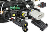 Holley 558-113 Ford Modular 2V and 4V Main Harness for use with Smart Coils