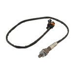Holley 550-603N HP EFI ECU & Harness Kits