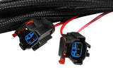 MSD 6-Hemi Harness 2003-2005 - 88863