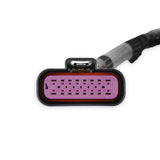 Holley 558-190 Sniper 2 PDM Main Harness