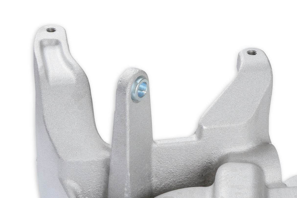 Holley 97-250 MANIFOLD-BRACKET KIT, LT4 WET-NATURAL