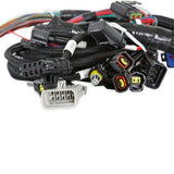 Holley 558-113 Ford Modular 2V and 4V Main Harness for use with Smart Coils