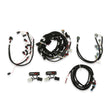 Holley 558-510 Ford Coyote Ti-VCT Harness Kit